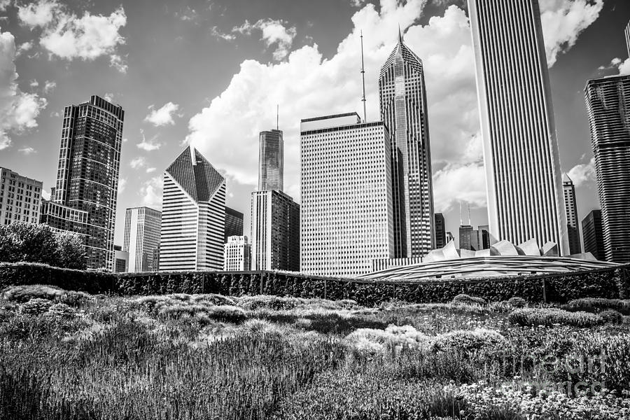 Chicago Skyline at Lurie Garden Black and White Photo #1 Photograph by Paul Velgos