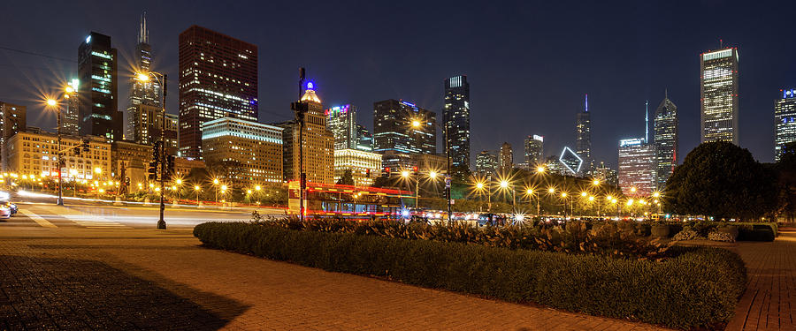 Chicago Skyline #1 Photograph by David Hart