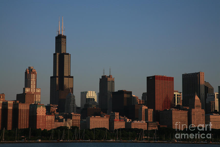 Chicago Skyline #1 Photograph by Timothy Johnson