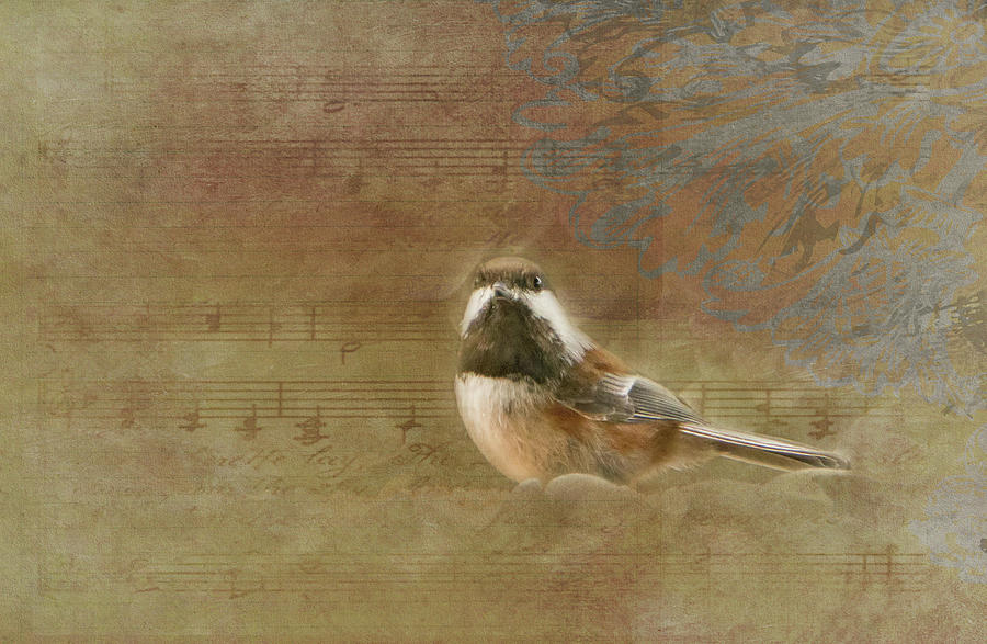 Sweet Song Photograph by Marilyn Wilson
