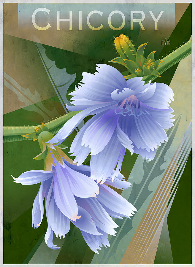 Chicory Cornflower Floral Painting by Garth Glazier