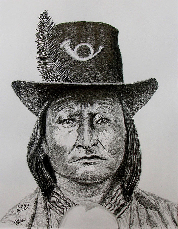 Portrait Drawing - Chief Bird Arapahoe by Stan Hamilton Portrait Drawing - Chief Bird Arapahoe by Stan Hamilton
