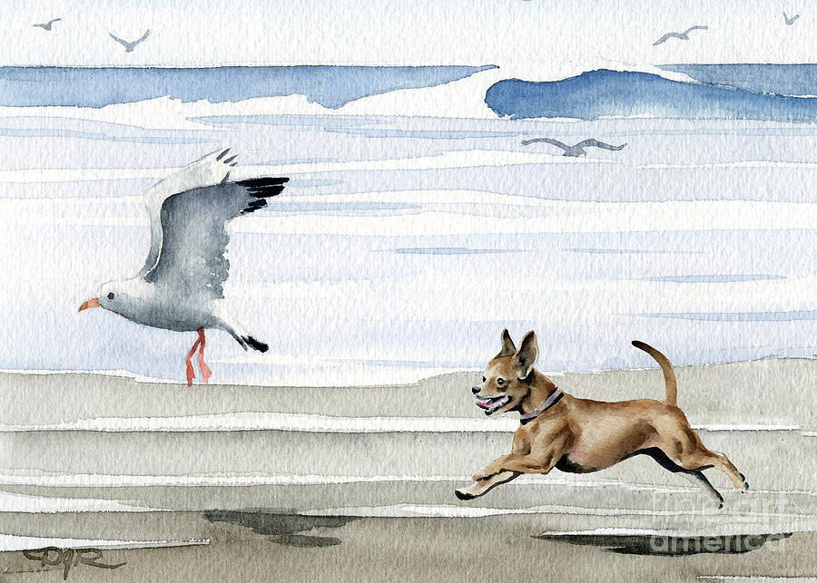 Seagull Painting - Chihuahua at the Beach  #4 by David Rogers