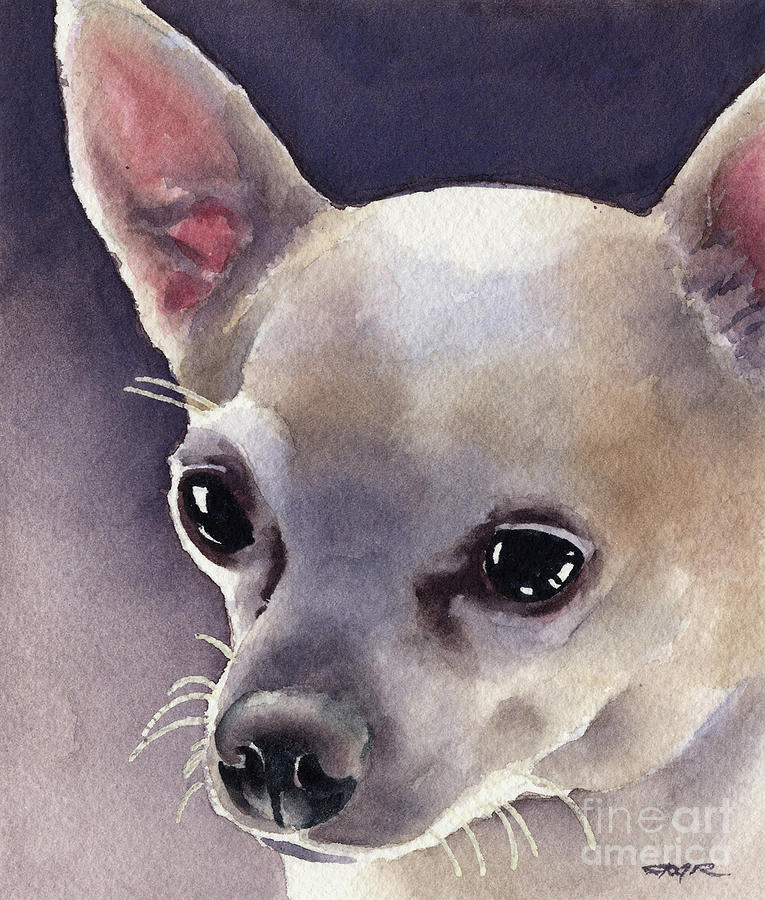 Chihuahua Painting - Chihuahua #2 by David Rogers