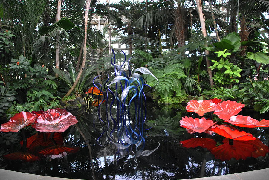 Glass Artistry 2 - New York Botanical Gardens Photograph by Jacqueline M Lewis