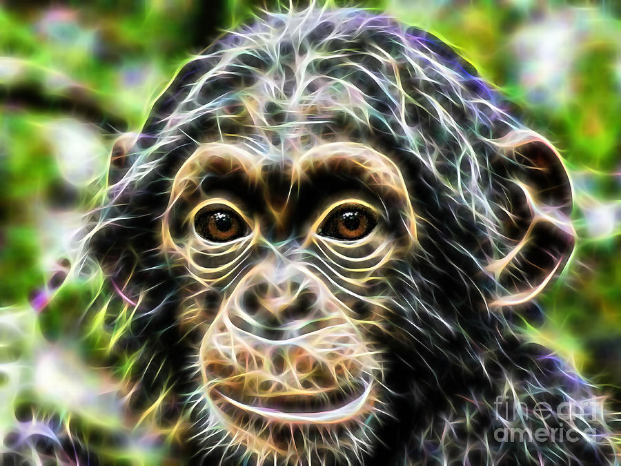 Chimpanzee Mixed Media - Chimpanzee Collection #1 by Marvin Blaine