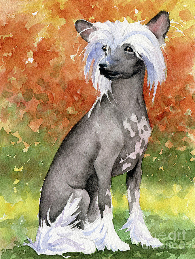 Dog Painting - Chinese Crested Dog #2 by David Rogers