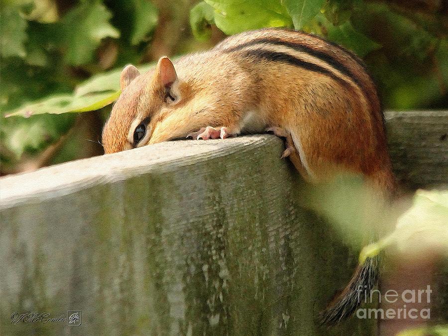 Chipmunk Chillin on the Railin #4 Painting by J McCombie