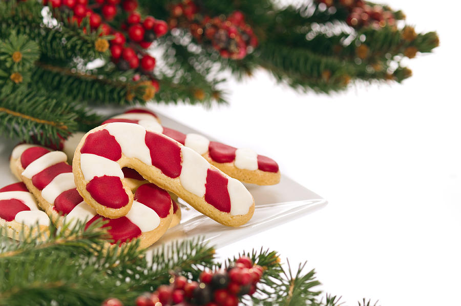 Christmas Cookies Decorated With Real Tree Branches #1 Photograph by U Schade
