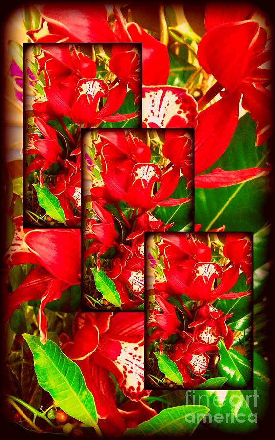 Christmas Floral #2 Digital Art by Gayle Price Thomas