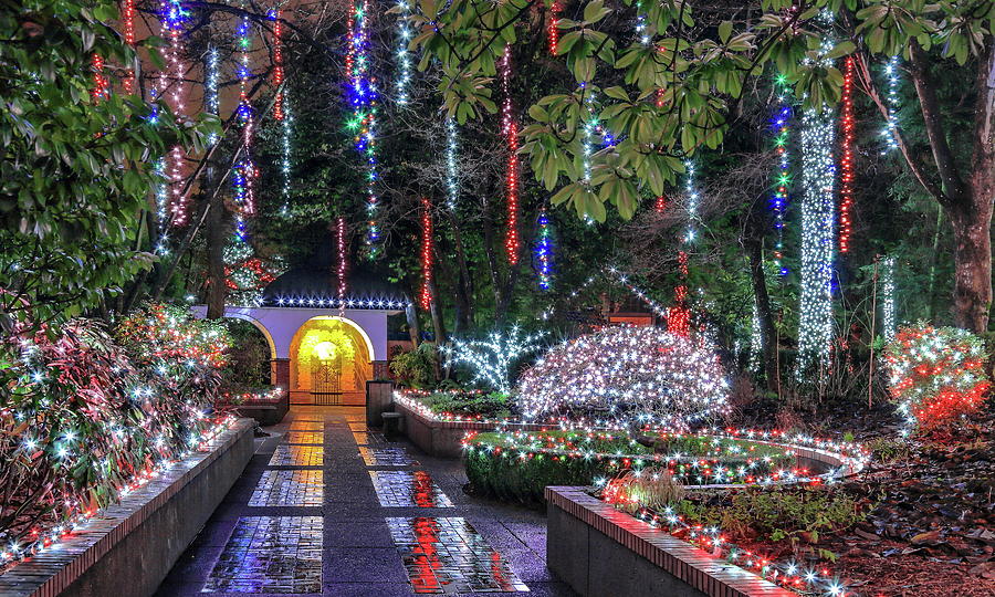 Christmas illuminations in the  Tilford Gardens Photograph by Alex Lyubar