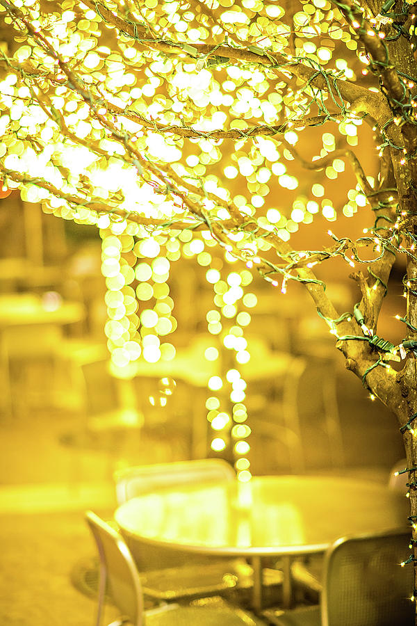 Christmas Lights And Holiday Decorations In The City #1 Photograph by Alex Grichenko
