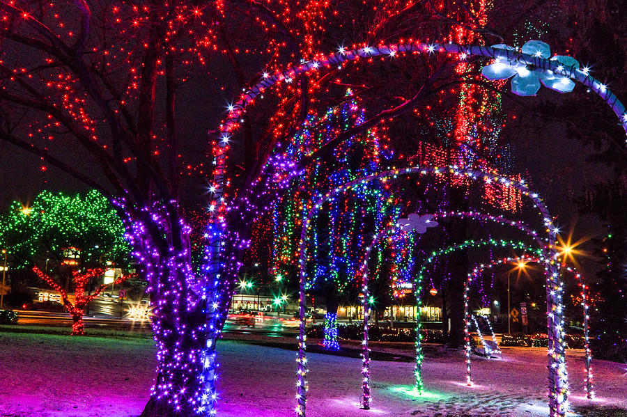 Christmas Lights In The Park Photograph by Brad Stinson