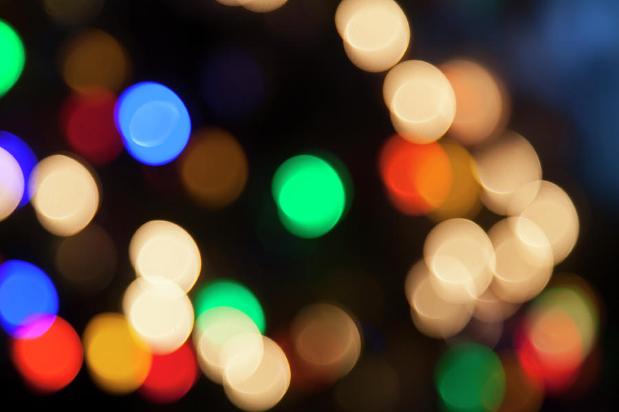 Christmas Lights #1 Photograph by Susan Stone