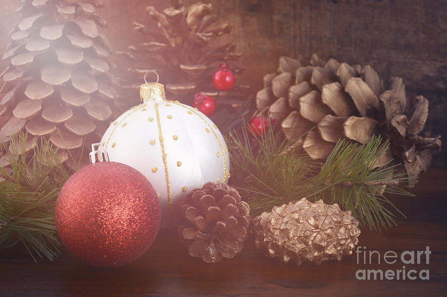 Christmas Pine Cones Decorations #1 Photograph by Milleflore Images