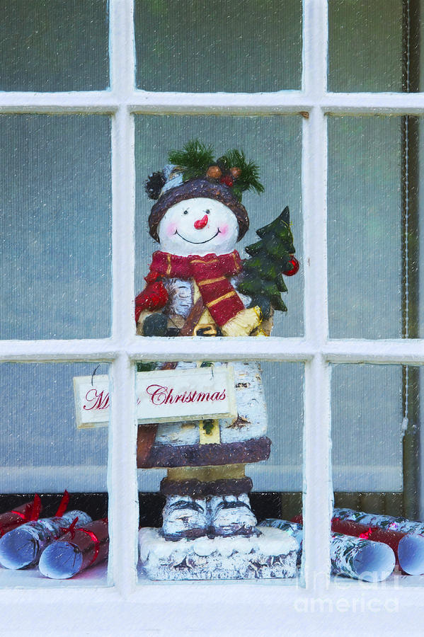 Christmas Snowman #1 Photograph by Tim Gainey