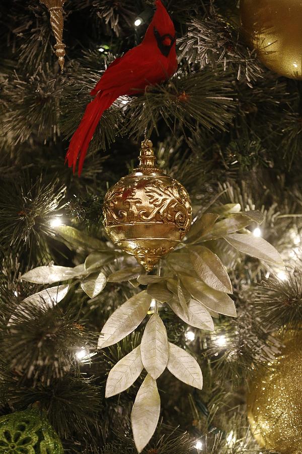 Christmas Photograph - Christmas Tree Decorations by American School