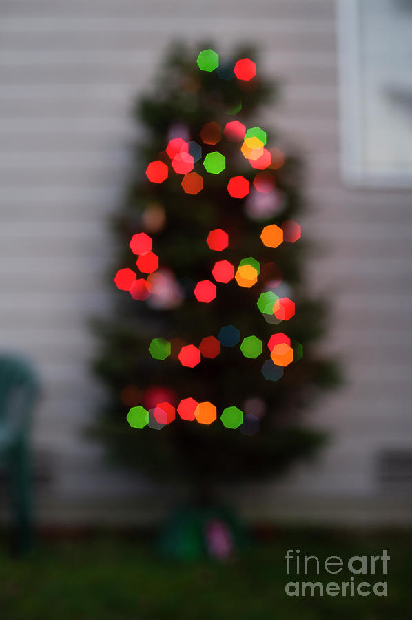 Christmas Tree Lights #1 Photograph by Jim Corwin
