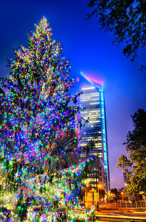 Christmas Tree Near Panther Stadium In Charlotte North Carolina #1 Photograph by Alex Grichenko