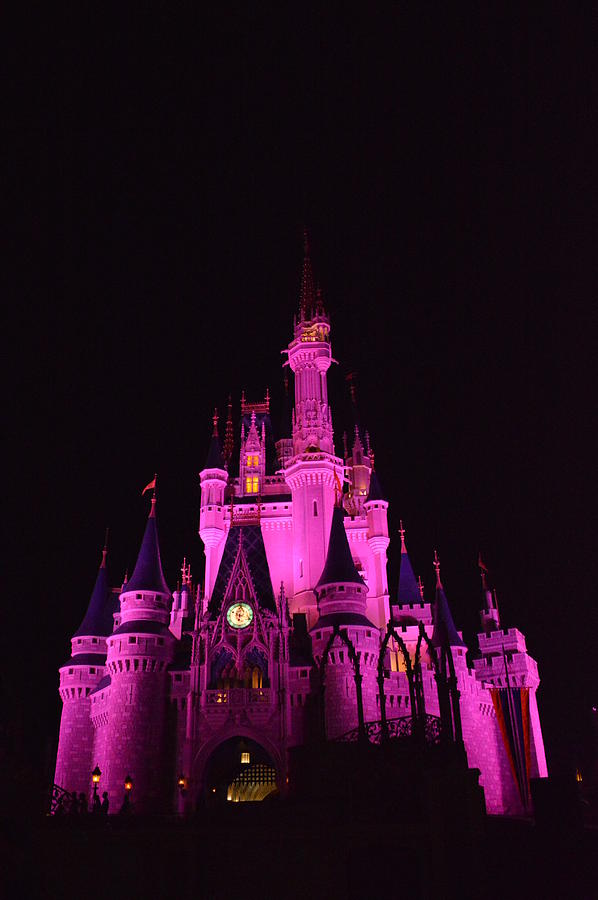 Cinderella's Castle At Night Photograph By James Feeney - Fine Art America