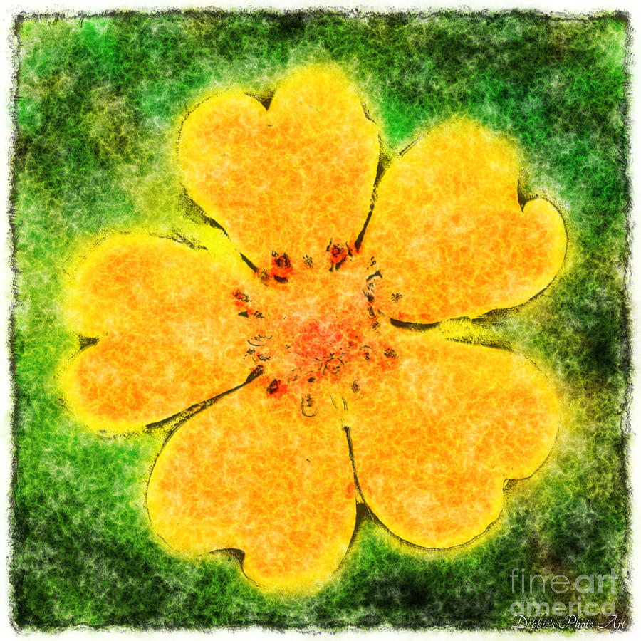 Cinquefoil Wildflower Digital Paint 2 #1 Photograph by Debbie Portwood