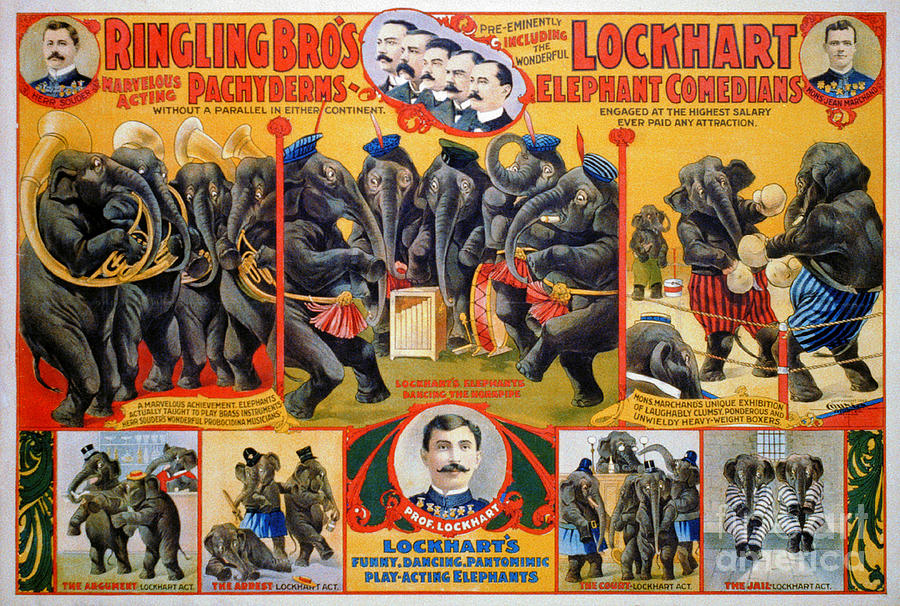 Circus Poster, 1899 #1 Photograph by Granger