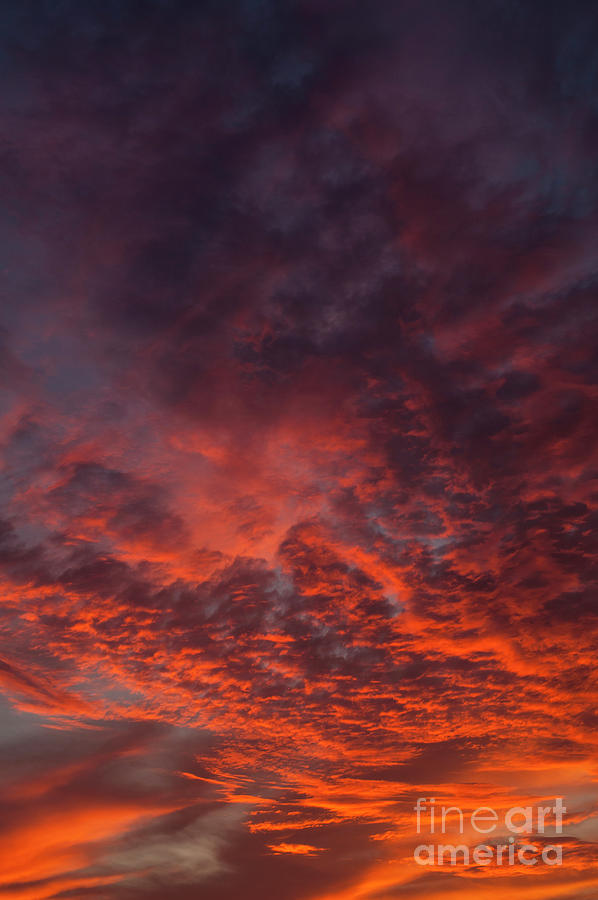 Cirrocumulus Clouds at Sunset #1 Photograph by Jim Corwin