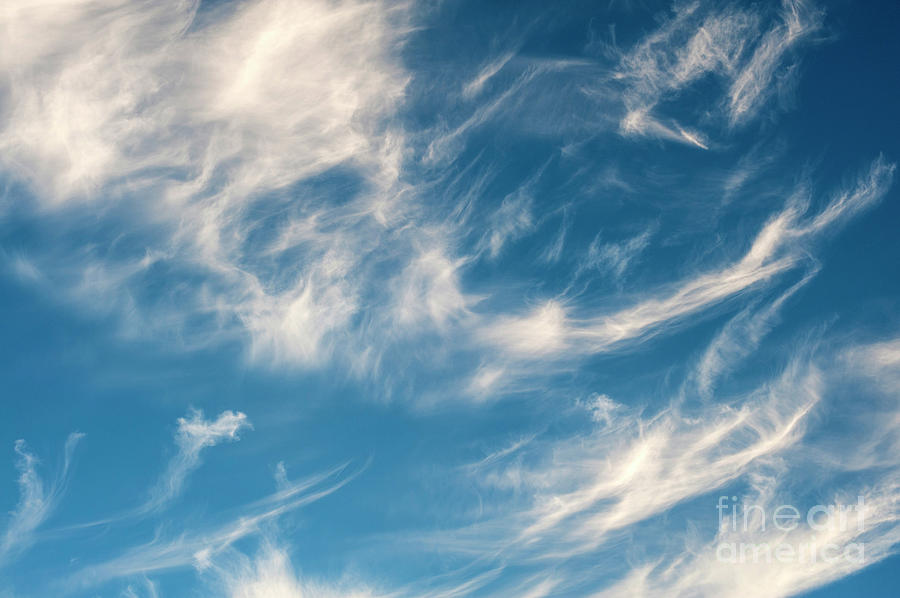 Cirrus Fibratus Fair Weather Clouds  #1 Photograph by Jim Corwin