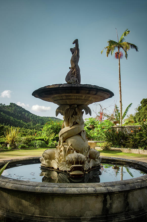 Classic Fountain #1 Photograph by Carlos Caetano