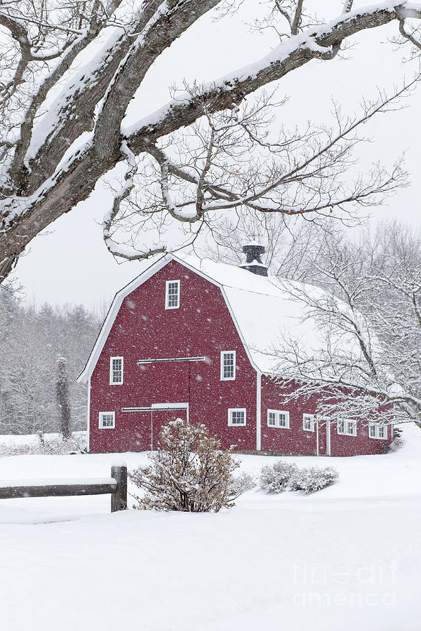 Winter Photograph - Classic New England Red Barn in Winter #2 by Edward Fielding