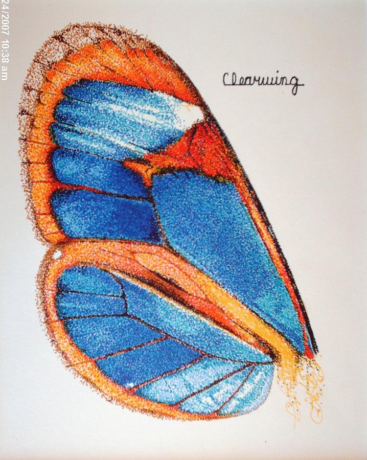 Butterfly Drawing - Clearwing #1 by Brian Edward Harris