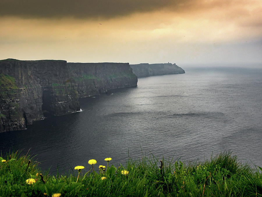 Cliffs of Moher Photograph by Mark Llewellyn