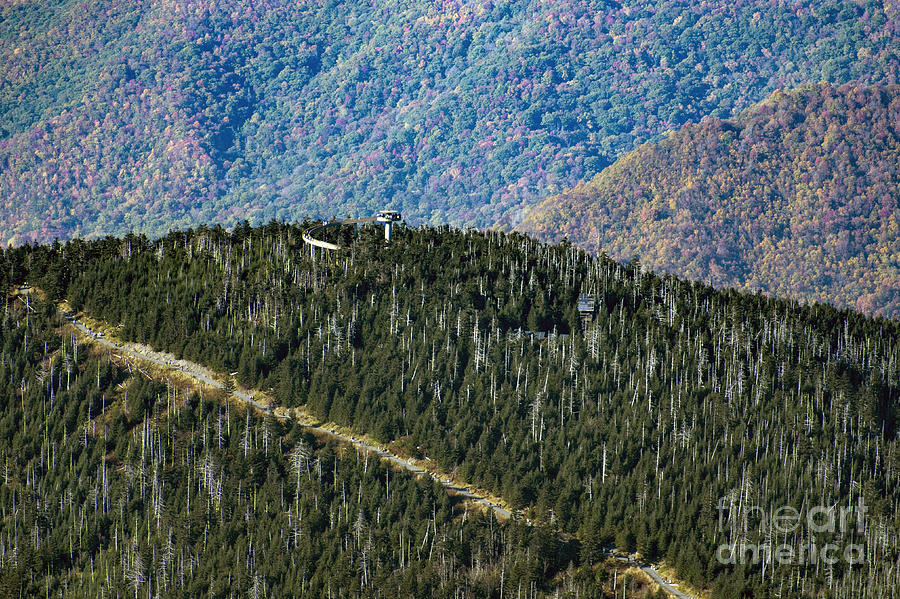 Clingmans Dome Observation Tower in the Great Smoky Mountains National Park #5 Photograph by David Oppenheimer