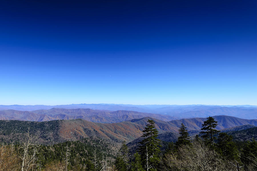 Clingmans Dome Photograph by Steve Samples - Pixels