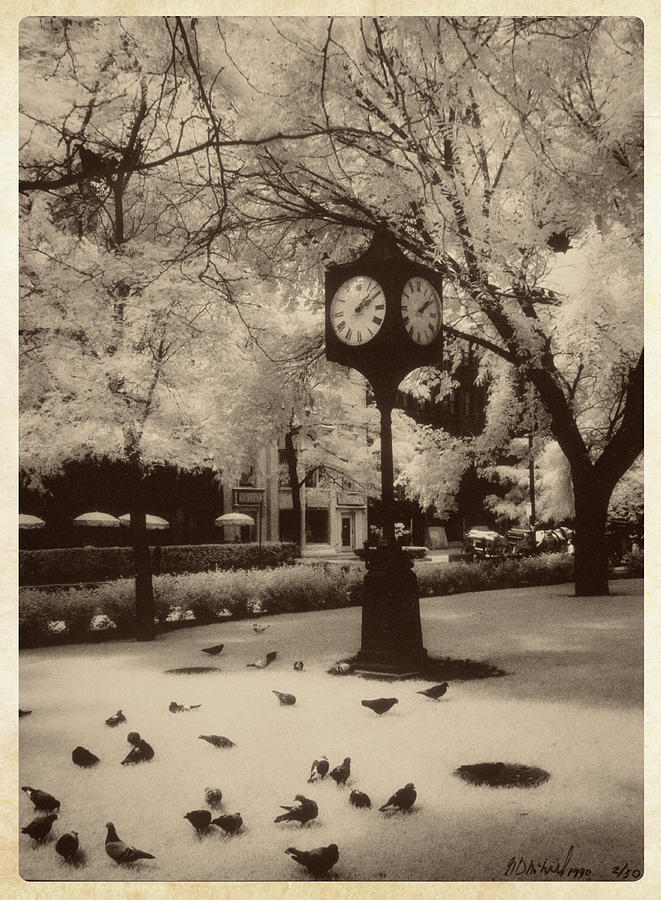 Clock Tower Park Chicago 1990 #1 Photograph by Garry McMichael