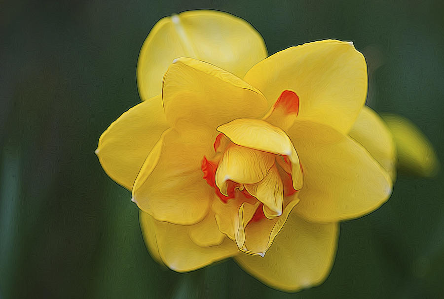 Spring Photograph - Close Up #1 by Roni Chastain