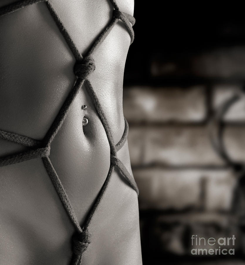 Rope Photograph - Closeup of a Stomach with Decorative Rope Bondage Shibari #2 by Maxim Images Exquisite Prints