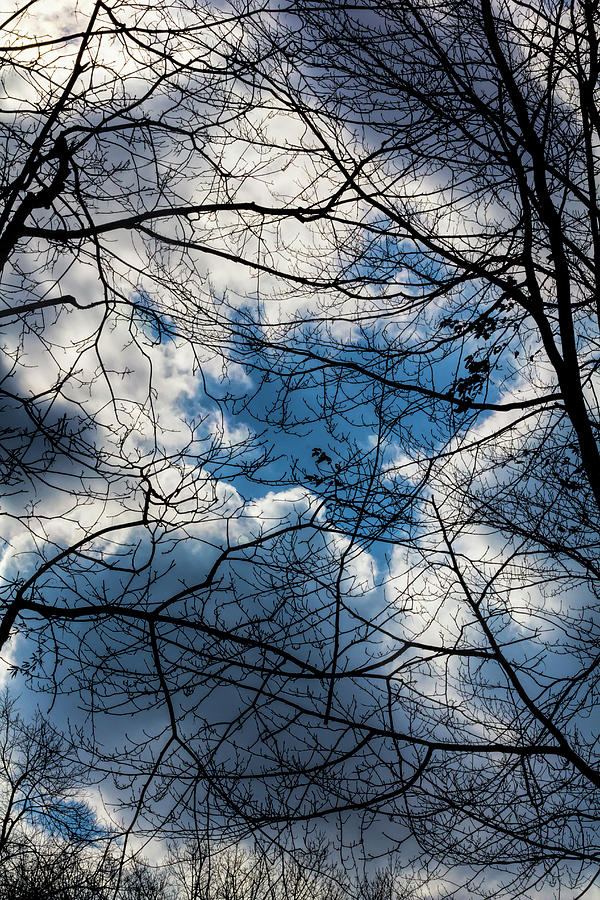 Clouds Trees and Sky #1 Photograph by Robert Ullmann