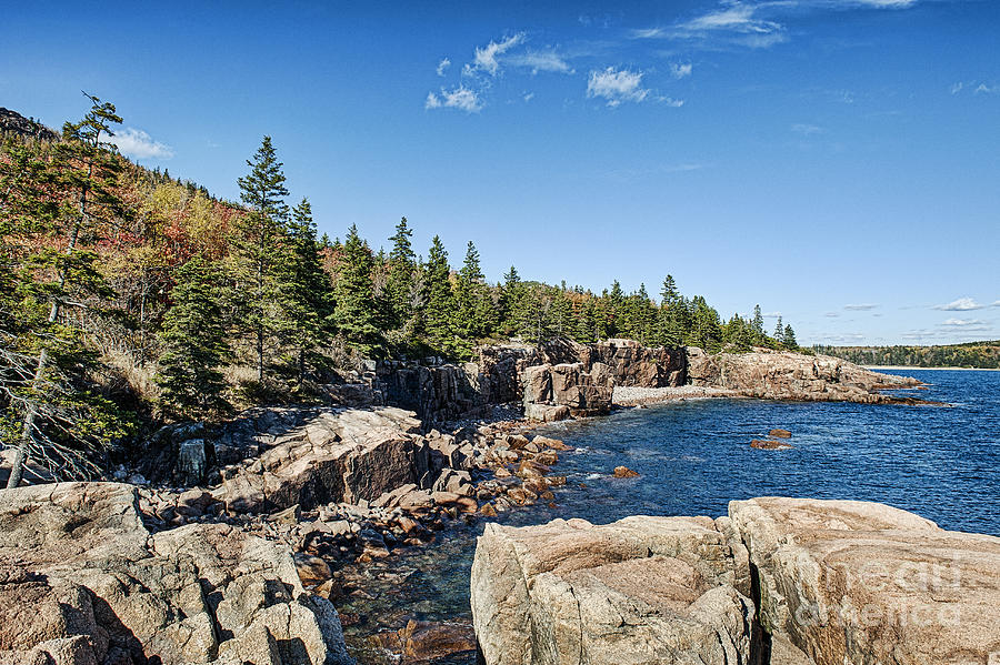 Coastal Acadia Photograph by John Greim - Fine Art America