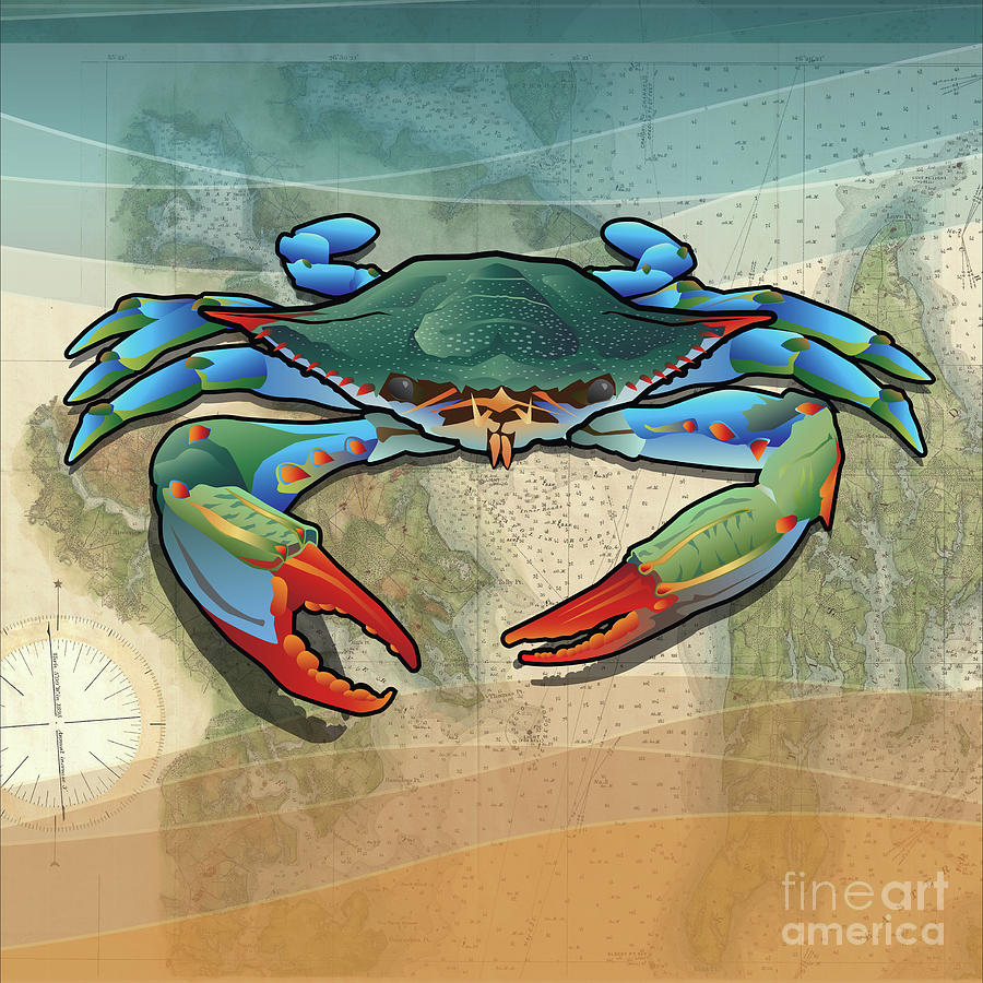 Coastal Blue Crab #2 Digital Art by Joe Barsin