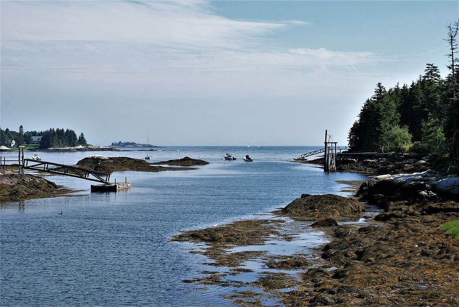 Coastal Maine #1 Photograph by Lois Lepisto