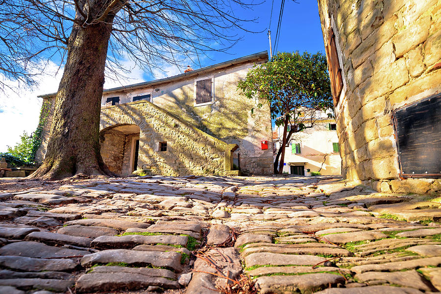 Cobbled village of Groznjan on istrian hill street view #1 Photograph by Brch Photography