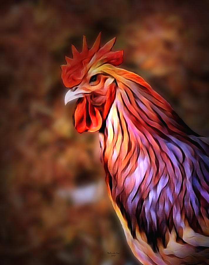 Cock Rooster #1 Digital Art by Artful Oasis