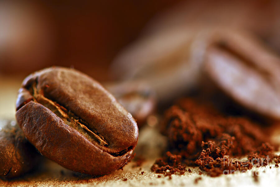 Coffee Photograph - Coffee beans and ground coffee 5 by Elena Elisseeva