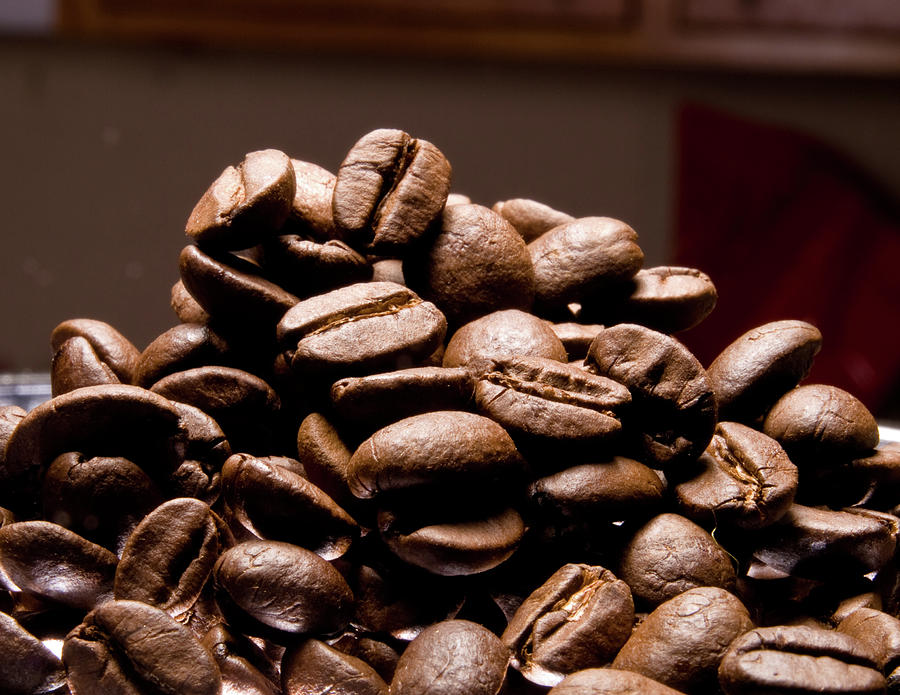 Coffee Beans #1 Photograph by Jim DeLillo