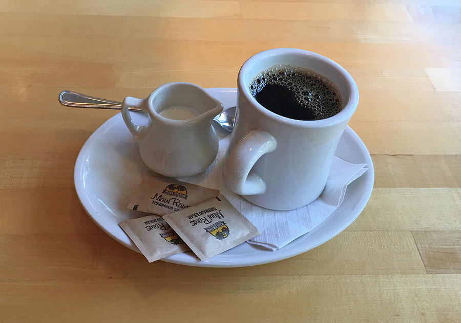 Coffee Creamer and Sugar Photograph by Rene Sheret Fine Art America