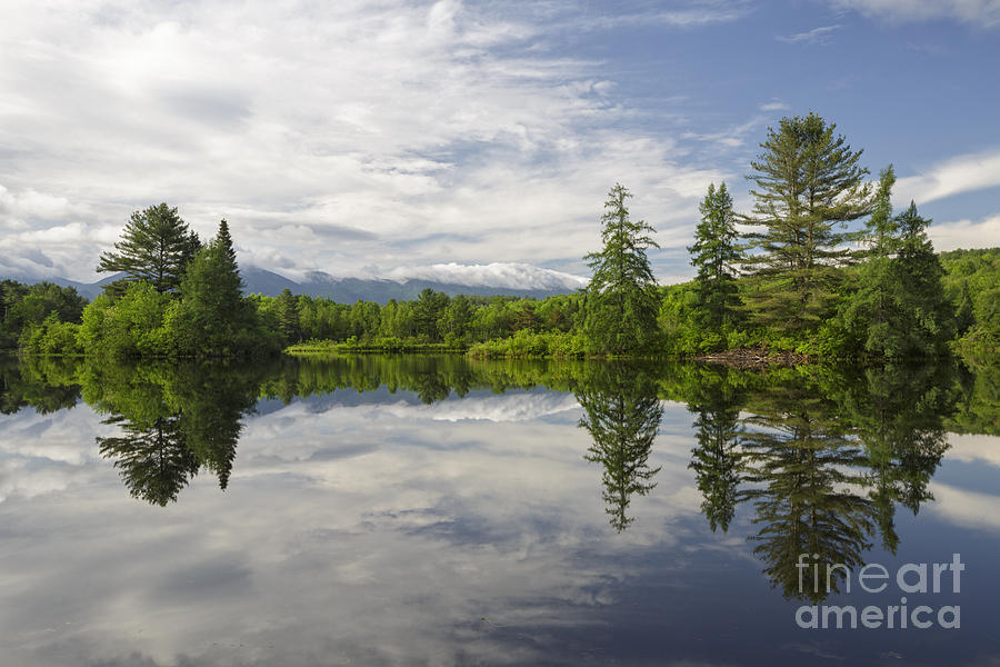Landscape Photograph - Coffin Pond - Sugar Hill New Hampshire USA by Erin Paul Donovan