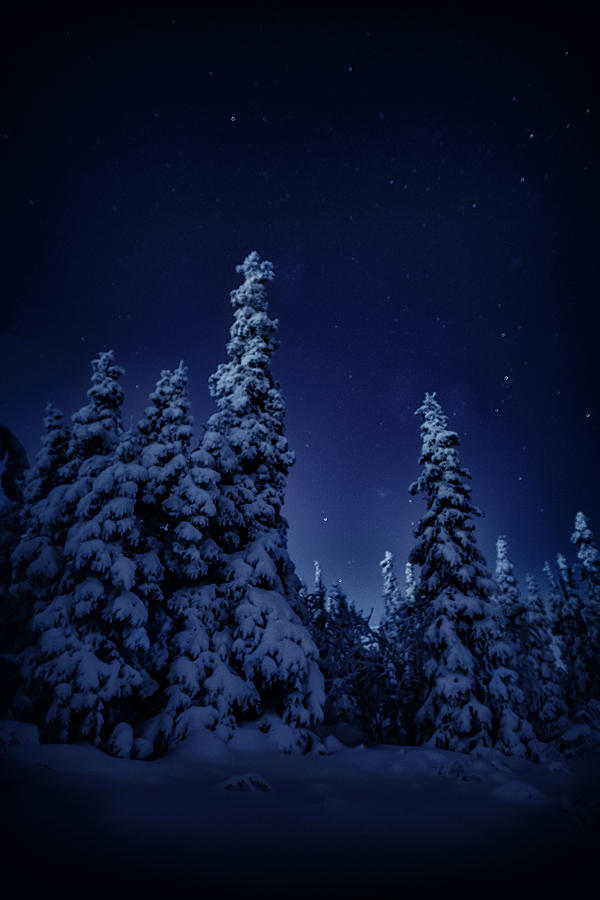 Cold Blue Night #1 Photograph by Robert Fawcett