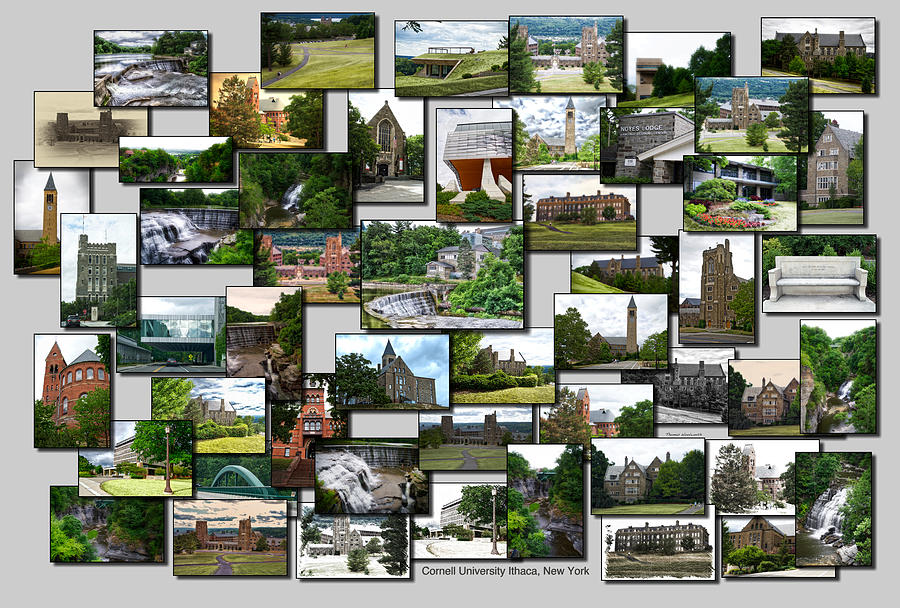 Collage Cornell University Ithaca New York 01 Photograph by Thomas Woolworth