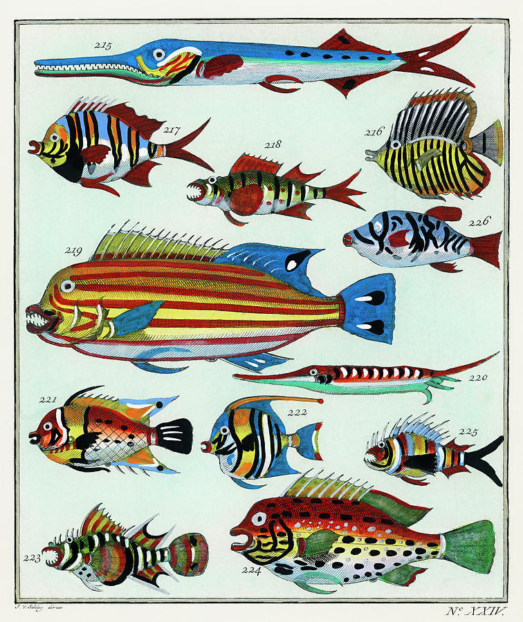 Collage of colorful rare exotic fish #1 Painting by Vincent Monozlay